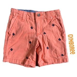 Toddler Boy Embroidered Cactus Shorts